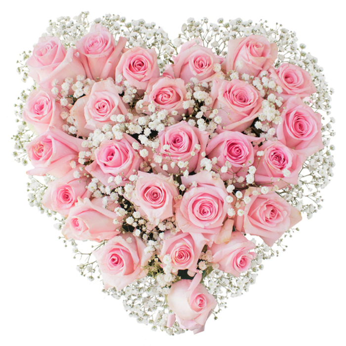 A meticulously crafted heart-shaped bouquet composed predominantly of soft pastel pink roses sits against a stark white background, each bloom placed with intentional symmetry to form an even, plush surface. Approximately two to three dozen roses appear to make up the core, their petals showing a gentle range from pale blush through slightly deeper pink, and each blossom is at a pleasing stage of bloom - some still tightly furled, others opening into layered, spiralled cups. Woven throughout and around these roses are innumerable tiny white sprigs of Gypsophila, their minuscule flowers giving an impression of mist or lace that softens the composition and introduces bright, chalky highlights where the studio light catches them. The overall effect is tactile: velvety rose petals that invite a careful touch, the papery crispness of the baby's breath, and a harmonious density that maintains the heart's perfect outline without a hint of looseness. The bright, even illumination removes shadows and enhances the flowers' fresh appearance, suggesting recent conditioning and expert handling. As a local floral designer serving Harold Wood and the nearby A12 corridor, one would describe this arrangement as both a romantic emblem and a comforting presence - ideal for engagements, anniversaries, Valentine's gestures, or as a graceful expression of sympathy. The restrained palette and refined structure speak to classic Floristry discipline, where simplicity in colour and precision in placement together create a timeless statement of love and regard.