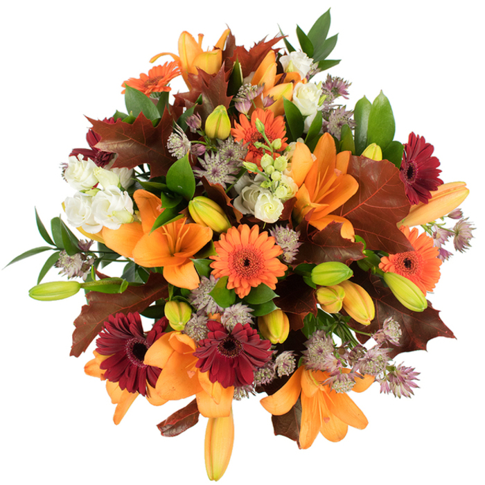 A lush, elevated view of an autumnal hand-tied bouquet that reads like a small harvest festival on a white backdrop, composed with the experience of a local florist in mind. Several large orange Asiatic lilies sit prominently, their trumpet-shaped petals opened wide and catching light so their veins and subtle gradients of apricot to tangerine are visible. Tightly furled lily buds in pale orange and soft green create depth and the gentle promise of more colour to come. Around these, cheerful Gerbera daisies in bright orange and deep burgundy add round, sun-like forms with darker centres, giving rhythmic contrast to the lilies' sweeping lines. Creamy white lisianthus (or mini roses) nestle in softer pockets, their ruffled layers offering delicate highlights, while clusters of dusty-lilac Astrantia introduce starry, fine-textured interest that breathes through the denser blooms. Broad, lobed leaves in warm chestnut and reddish-brown are strategically placed to mimic fallen oak leaves and reinforce the season; their crisp shapes bring an earthy, autumnal punctuation to the arrangement. Fresh green foliage and slim stems provide a lively structural network, keeping the bouquet feeling vibrant and lush. Taken as a whole, the piece radiates warmth, harvest abundance, and quiet celebration - qualities I craft regularly at Flowers Harold Wood for local clients wanting a seasonal centrepiece or a heartfelt gift. The bright, even lighting on white makes every texture and hue sing, from the satiny lilies to the papery leaf edges, and invites the sense of touch, scent, and the gentle comfort of home.