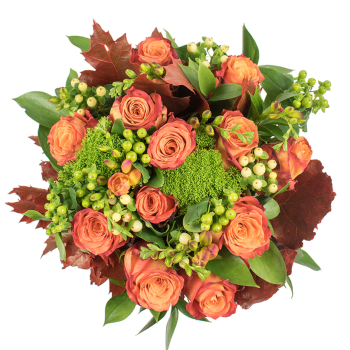 In a close top-down composition against immaculate white, this abundant autumn bouquet reads like a small, cultivated woodland: central roses unfurl in shades that move from soft peach to coral and deep orange, their velvety petals edged in hints of reddish-rust that suggest turning leaves. Between these generous blooms cluster Hypericum berries in two moods - vivid lime-green for a lively pop and a pale, creamy yellow for softer punctuation - their smooth surfaces contrasting with the plush rose petals. Scattered among them are tufts of green trick dianthus or similar textured filler, appearing as plush, mossy coronets that introduce both density and an unexpected tactile element. A foundation of glossy green leaves provides a lush backdrop, while larger lobed leaves in deep burgundy and rusty brown are arranged like autumnal accents, giving the bouquet a grounded, harvest-ready character. The arrangement's circular, tightly packed form is deliberately designed to read as a festive centrepiece; light catches the roses' inner cores and casts mild shadows that reveal layers and depth. The imagined scent blends sweet rose with a faint earthy, mossy note. Crafted with seasonal sensitivity, this piece would suit a Thanksgiving table, a cosy dining room in Harold Wood on a cool evening, or as a thoughtful gift to convey warmth and gratitude. The balance of soft peach, vibrant orange, deep red-brown and varied greens celebrates the tactile richness of fall while remaining refined and abundant.