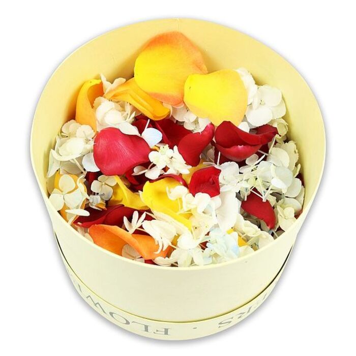 The image shows a cylindrical hatbox in soft cream, positioned centrally against a pristine white background, overflowing with a generous selection of dried flower petals and small florets. The box has a smooth, matte finish and carries the discreet word FLOWERS around its rim, echoing traditional florist hatboxes used for special tributes in places like Harold Wood. The camera captures the arrangement from a slightly higher angle, revealing the petals mounded in a full, rounded shape that suggests abundance and care. Dominating the blend are rose petals in deep crimson red, bright golden yellow, and warm peach-orange, each petal gently cupped and slightly curled, testifying to careful preservation. These rich tones are interwoven with tiny white and very pale blue hydrangea florets, which appear like flecks of soft lace scattered throughout the mix. Their papery, almost translucent texture contrasts with the smoother rose petals, adding depth and movement to the design. The overall feel is peaceful and dignified, well suited to a farewell service, funeral, or memorial gathering at a local Harold Wood chapel or crematorium. You can imagine these petals being shared among family members to scatter together, or arranged in shallow dishes around a framed photograph, bringing natural softness to a formal setting. The neutral background and understated box ensure that the focus remains entirely on the petals themselves, embodying a gentle, natural way to honour memories and express sympathy without overwhelming the senses.