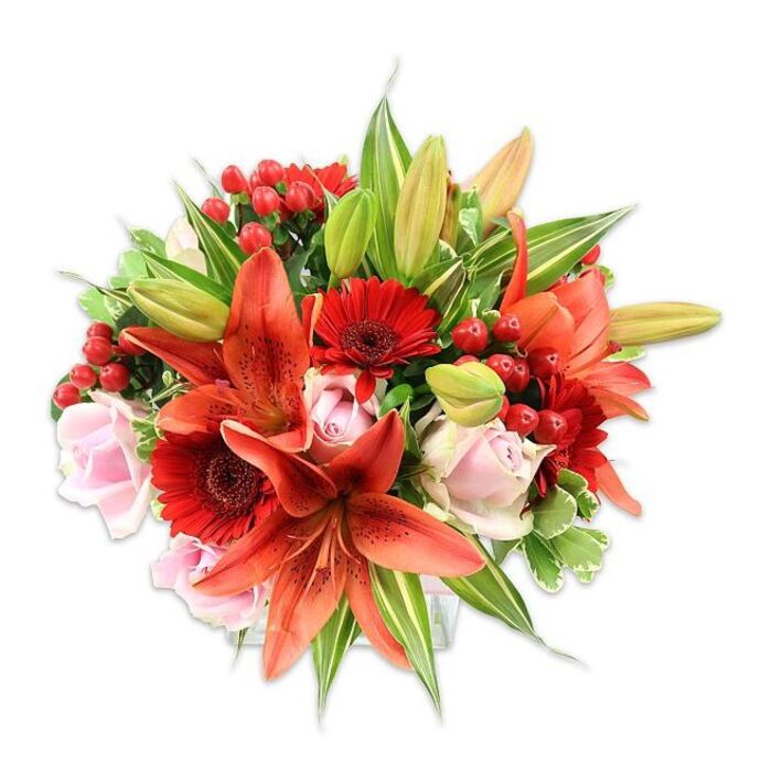 A luxuriant mixed bouquet presented on a crisp white backdrop, hand-arranged to spotlight a warm trio of colours: fiery orange-red lilies, deep crimson gerberas, and soft blush roses. The Asiatic lilies dominate with large recurved petals and subtle speckling, some blossoms fully open to reveal dark anthers, others held as elongated buds that promise unfolding drama. Interspersed are vivid red Gerbera daisies whose layered petals radiate from near-black centers, providing bold, cheerful punctuation, while pale pink roses offer a gentle romantic counterpoint with their tightly packed, velvety petals. Shiny clusters of red hypericum berries are threaded through the design, adding a playful, bumpy texture and bright, jewel-like accents against the smoother flower faces. The bouquet is densely but skillfully filled with varied greenery - broad solid leaves that frame the composition, variegated foliage with pale streaks that lift the palette, and long, pointed lily leaves that give structure and movement. Under soft, neutral studio lighting the colours read vivid and true, and textures range from the papery crispness of lilies to the silky depth of roses and the glossy resilience of berries. There's a hint of sweet and slightly spicy fragrance in the imagined air, characteristic of fresh lilies and roses, making this arrangement feel immediate and welcoming. Crafted with local care by Flowers Harold Wood and thoughtfully sized for presentation or gifting, it suits anniversaries, special celebrations, and local events across Harold Wood, Romford and neighbouring Gidea Park, where customers appreciate bold colour and lush, tactile composition.