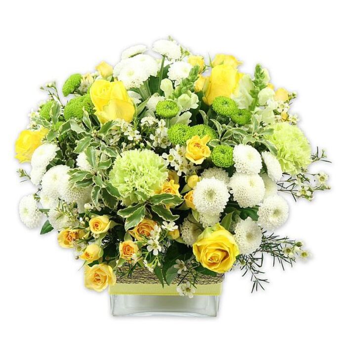 In this image, a lush and carefully crafted bouquet is displayed in a low, square glass vase, photographed against a plain white background so that each bloom and leaf is clearly defined. The arrangement is domed and full, overflowing with flowers in warm yellow, clean white, and lively green tones, evoking the freshness of Harold Wood's nearby green spaces after a spring shower. At the centre are classic yellow roses, some fully open to reveal their layered, velvety petals, others still in bud, adding a sense of gentle anticipation. Encircling them are clusters of yellow spray roses, their multiple tiny blossoms contributing texture and volume. White pompom chrysanthemums are nestled among the yellow roses, their tightly packed, spherical heads like soft cushions that bring a calm, soothing balance to the composition. Bright lime green button chrysanthemums, small and button-sized, punctuate the design with playful dots of colour, while larger pale green blooms with softly ruffled petals recall frilled carnations or decorative green mums. The bouquet is generously framed with foliage: deep green leaves create a rich backdrop, while variegated leaves with pale, creamy edges draw the eye and echo the bouquet's lighter tones. Fine, feathery sprigs of filler greenery and tiny white filler flowers weave throughout, like flecks of light catching the arrangement, adding intricacy and airiness. The clear vase reveals the stems and is wrapped around its centre with a rustic, textured band of natural fibre, topped with a bright lime green ribbon that mirrors the fresh green chrysanthemums. Altogether, the bouquet feels joyful, polished, and welcoming, perfect as a gift for a Harold Wood birthday, a new home celebration, or a bright accent for a local office reception.