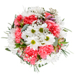 A visual ode to Harold Wood's bright and welcoming spirit, this bouquet is a joyous cluster of white daisies with golden-lime centers and coral-pink carnations, their soft ruffles creating a textured embrace set against a pure white background. Wisps of baby's breath blossom throughout, evoking the feeling of tiny stars scattered in the morning sky. Peeking between the primary blooms are gentle buds of alstroemeria dusted with soft pinks and purples, suggesting the gradual unveiling of spring's beauty around Harold Wood's tranquil avenues. Glistening eucalyptus leaves and deep green accents lend balance, gently framing the arrangement in cool, natural tones. The careful artistry is evident in every placement-each stem imbued with local passion and thoughtfulness. This bouquet is ideal for marking life's special occasions, sending encouragement, or simply bringing a touch of fresh floral joy into homes and offices across Harold Wood, embodying the area's love for both tradition and heartfelt celebration.