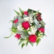 A lush, round bouquet is photographed from directly above against a pure white background, allowing every vivid colour and texture to stand out clearly. At the heart of the design, large hot pink carnations with deeply ruffled petals create a sense of movement and fullness, their frilled edges catching the light like soft fabric. Nestled among them are deep pink and fuchsia roses, some fully open with classic spiralled centres, others still in tight buds, suggesting blooms that will continue to unfurl over the next few days. Between the bold pinks, clusters of small white spray chrysanthemums and other daisy-like flowers form gentle, cushiony mounds, softening the palette and adding a feeling of airiness. Fine sprays of white gypsophila weave through the bouquet like tiny clouds, giving an almost ethereal halo to the brighter flowers. Slender white buds, reminiscent of alstroemeria or lily blooms, peek out at intervals, adding a touch of elegance and purity to the composition. Around and beneath the blossoms, layers of greenery provide structure and depth: rounded, silvery eucalyptus leaves offer a cool, muted contrast, while long, bright green blades of foliage add rhythm and lift. Darker, broader leaves, likely folded aspidistra, form a neat collar that cradles the whole arrangement and keeps its circular shape crisp and intentional. The lighting feels like soft daylight, making the pinks glow warmly and the whites appear clean and fresh, as if the bouquet has just been finished on a florist's bench in Harold Wood. The overall mood is joyful and affectionate, well suited for sending congratulations, celebrating a birthday, or simply brightening a loved one's home on a quiet afternoon near Harold Wood Park.