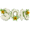 A carefully composed sympathy tribute that spells the word SON in bold capital letters, photographed against a clean white background so every texture reads clearly. Each letter is densely covered with small, pristine white chrysanthemums that form a plush, cloud-like surface - cool, soft to the touch in imagination, and subtly fragrant with the faint, sweet scent typical of fresh mums. Winding through and around the white blooms are glossy dark-green ivy tendrils whose five-pointed leaves add structure and a living contrast, while feathery fern fronds and assorted leafy sprigs lend lighter green highlights and depth. Three bright yellow sunflowers punctuate the composition: one nestles into the upper left curve of the S, another sits among the lower curve of the O surrounded by verdant foliage, and a third accents the upper right of the N. Their broad golden petals and textured dark-brown centres introduce warmth and visual focus, suggesting light and remembrance amid the calm whites. The arrangement has been shaped with meticulous care - each chrysanthemum placed to read clearly from a distance, the greenery tucked to soften edges, and the sunflowers positioned to balance the tribute emotionally as well as visually. The studio lighting is soft and even, casting gentle shadows that reveal the three-dimensional build of the letters while keeping the overall mood dignified and hopeful. As a local florist describing this for someone who cannot see it, I would say the piece is both a consolation and a celebration: pure white for peace and the sunflowers for bright memory, a respectful floral memorial suitable for funerals or a service honouring a dearly loved son in Harold Wood and nearby Romford communities.